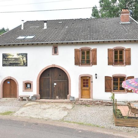 Serendipity For All Apartments Saint-Die-des-Vosges Экстерьер фото